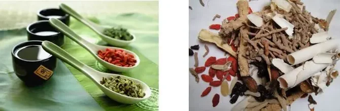 Chinese herbal medicine in Mississauga
